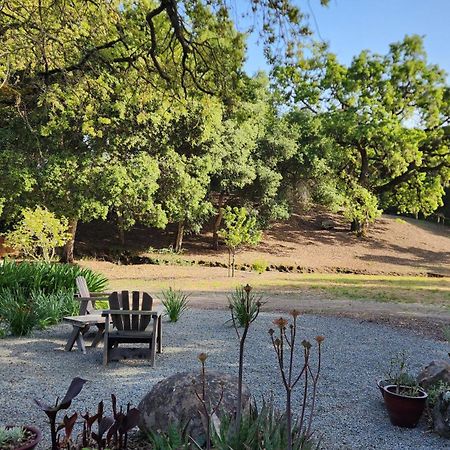 Amitabha Wine Country Cottage 산타 로사 외부 사진
