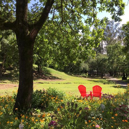 Amitabha Wine Country Cottage 산타 로사 외부 사진