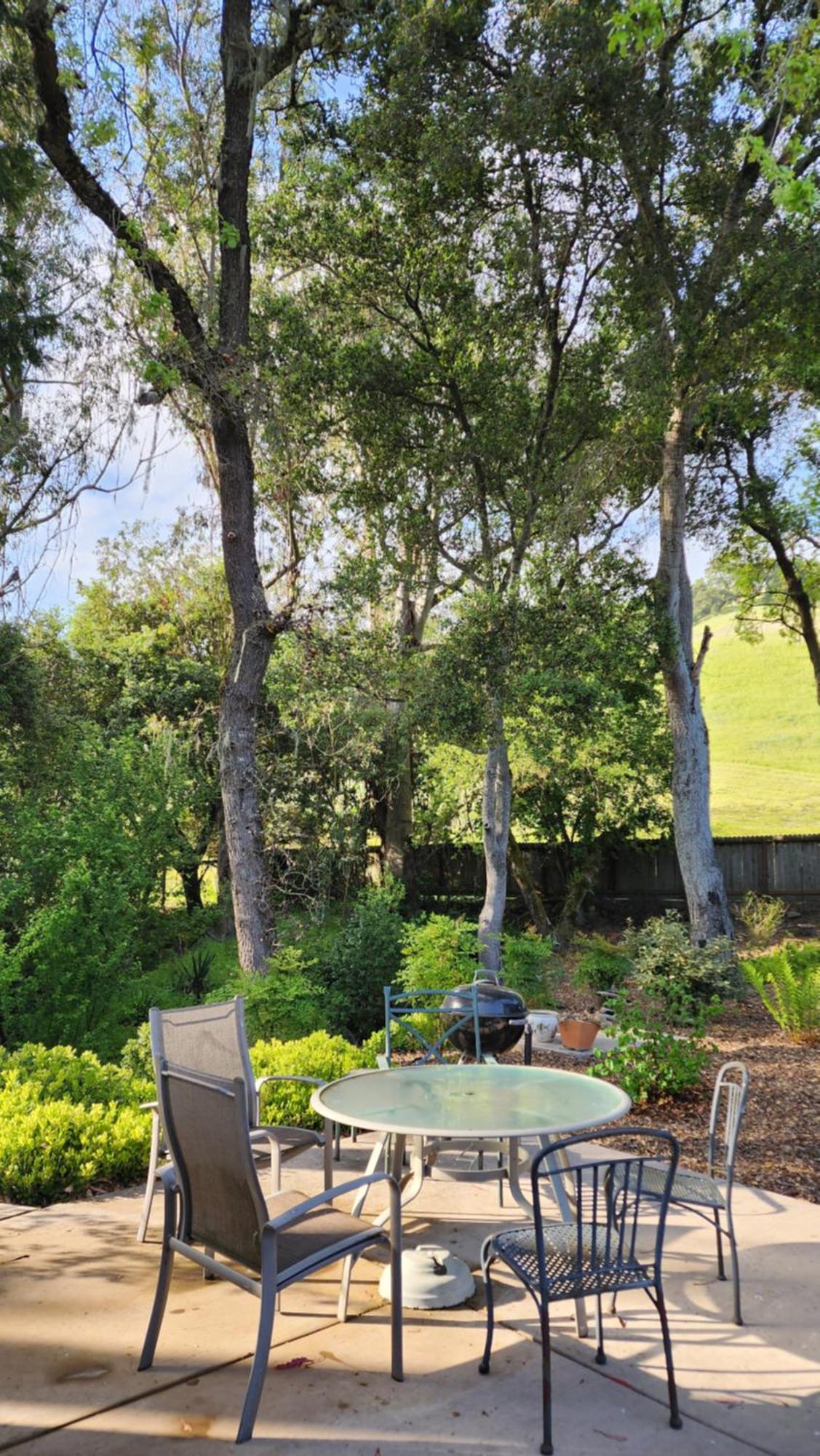 Amitabha Wine Country Cottage 산타 로사 외부 사진