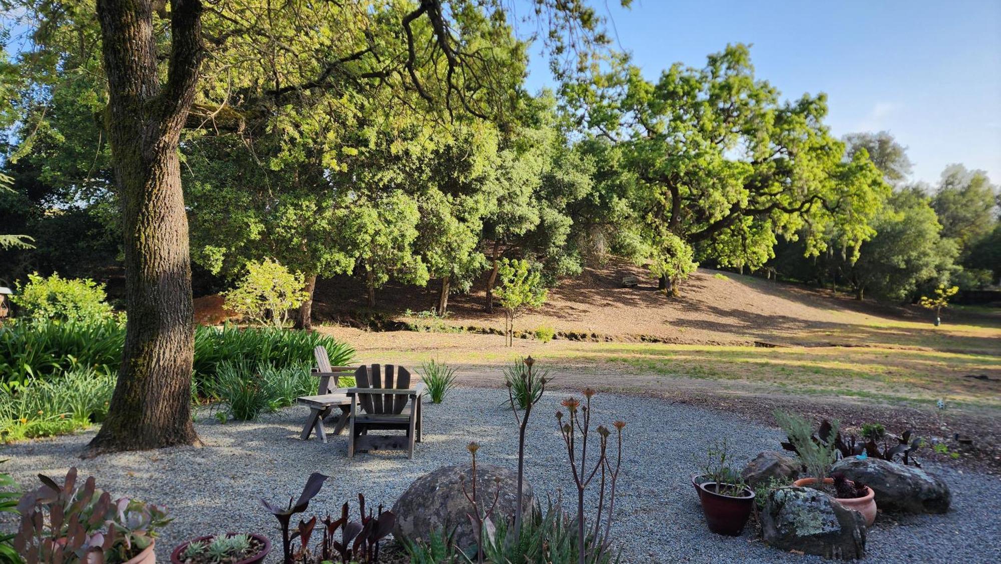 Amitabha Wine Country Cottage 산타 로사 외부 사진