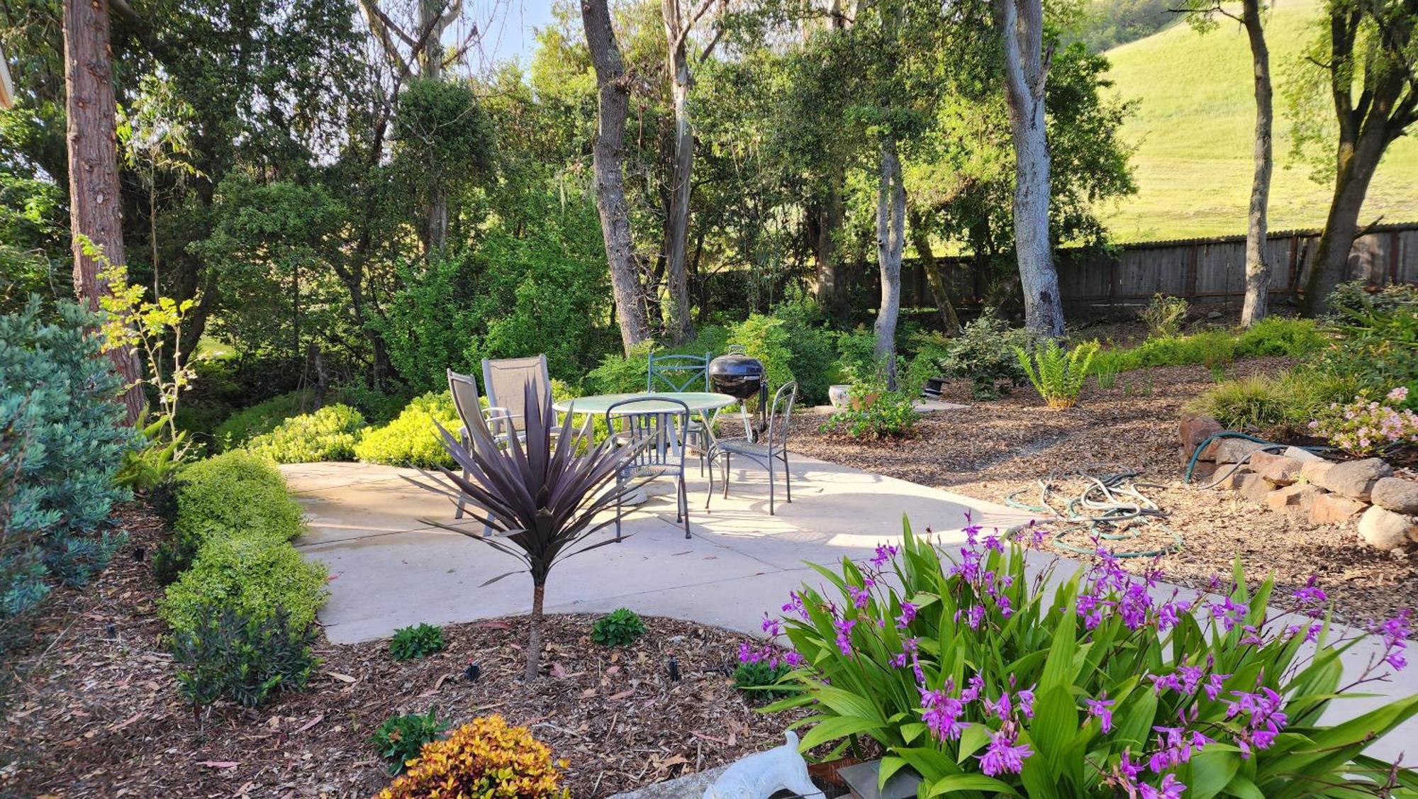 Amitabha Wine Country Cottage 산타 로사 외부 사진