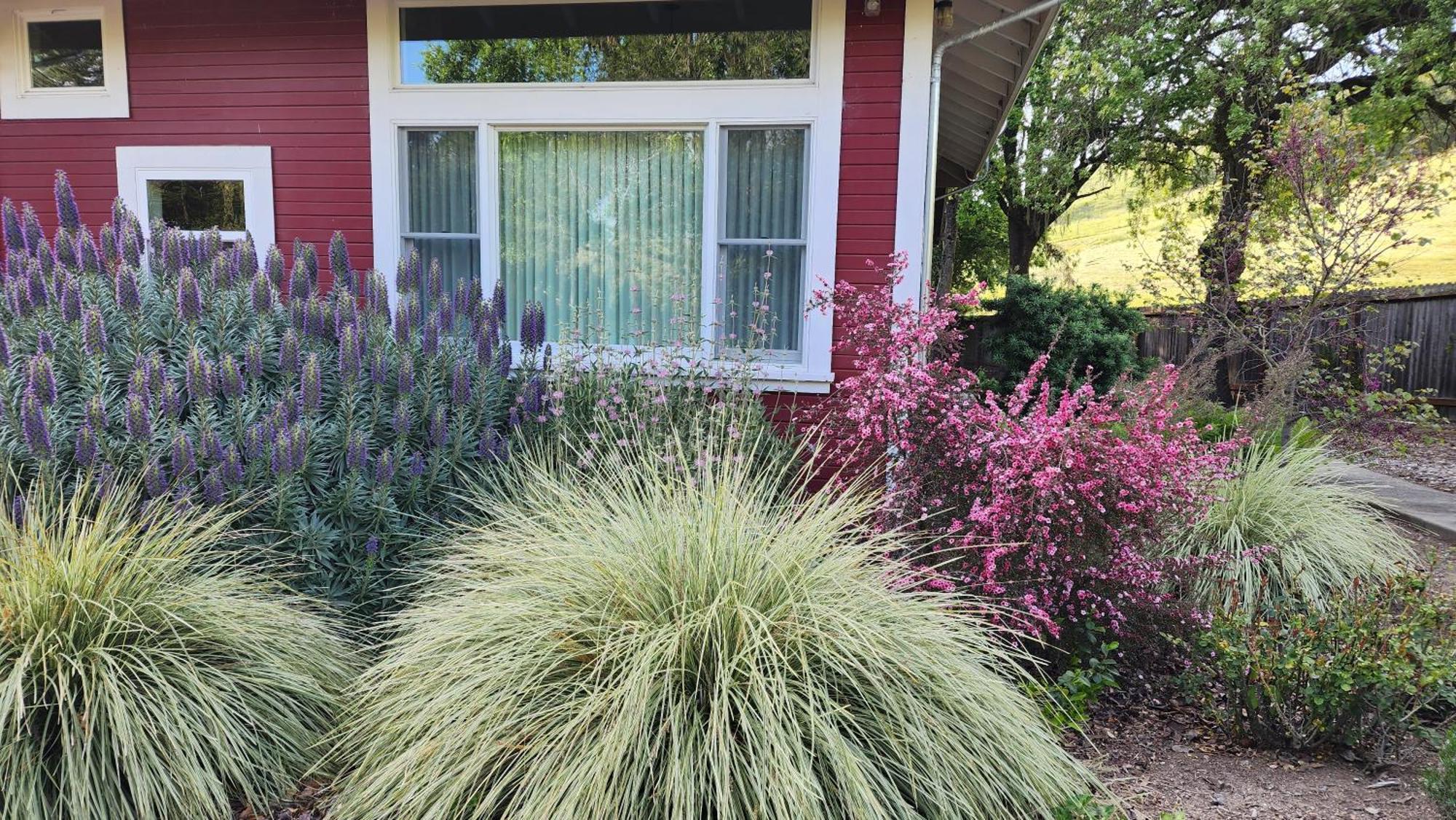 Amitabha Wine Country Cottage 산타 로사 외부 사진
