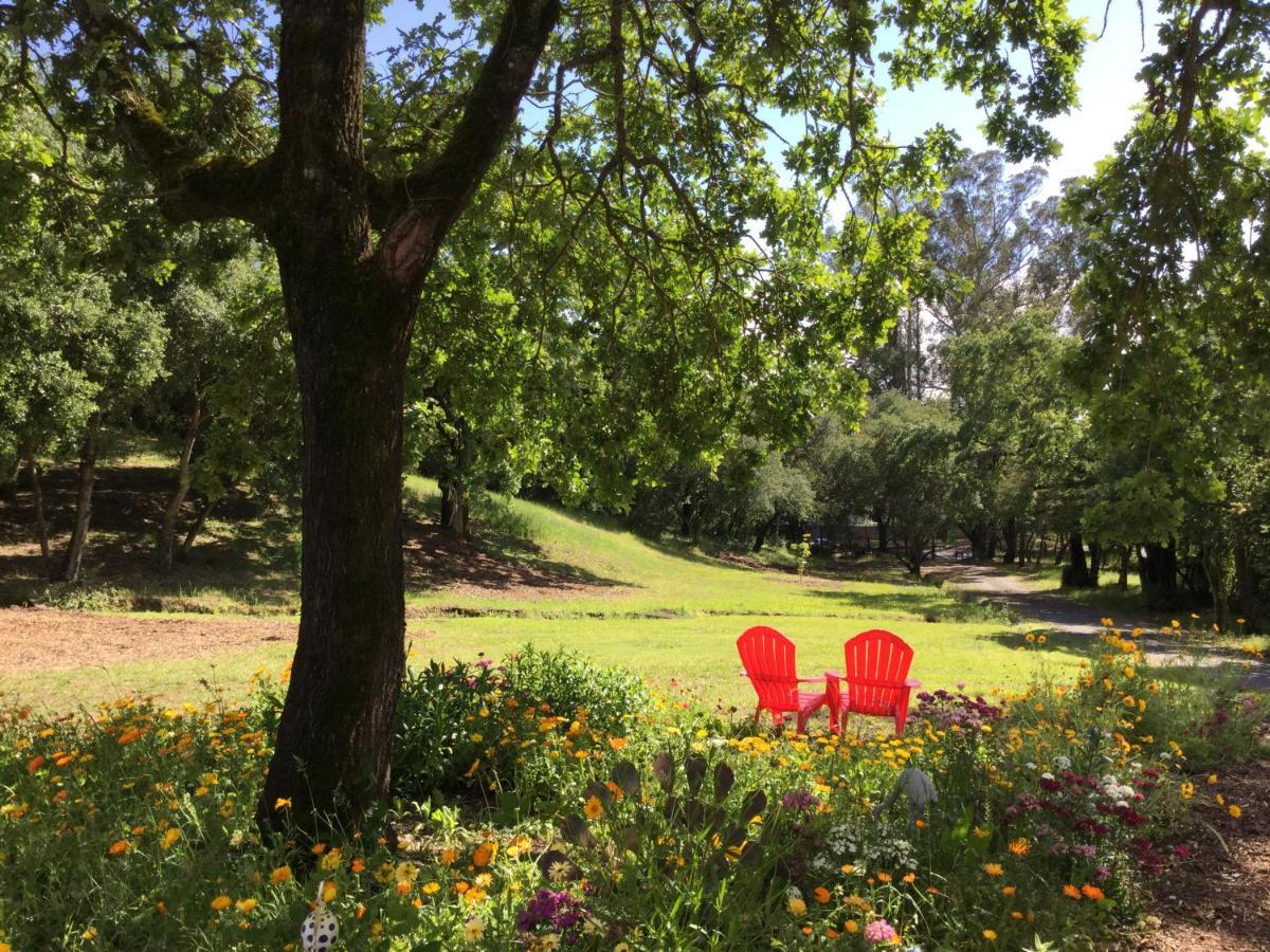Amitabha Wine Country Cottage 산타 로사 외부 사진